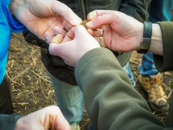 Hände greifen gemeinsam nach einem kleinen Objekt in der Mitte