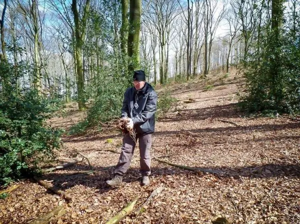 Mann hält Zunder in einem Waldgebiet mit Laub und Bäumen