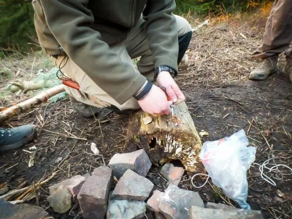Messer schneidet Zunder auf einem Baumstamm, Steine liegen daneben