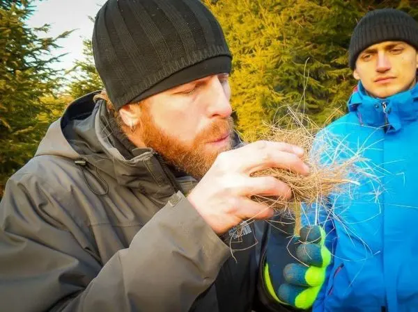 Person bläst auf trockenes Gras in der Hand