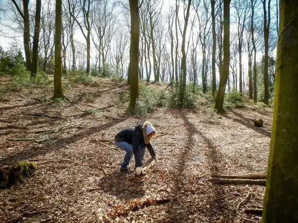 Person sammelt Holzstücke im Laubwald