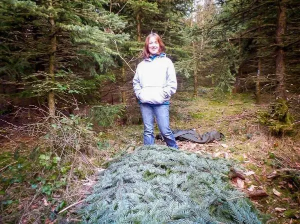 Person steht neben einem Haufen von Tannenzweigen im Wald