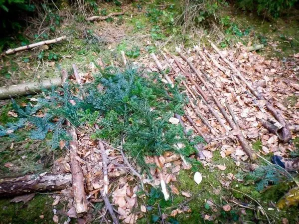 Selbstgebaute Unterlage aus Ästen und Tannenzweigen auf Laub