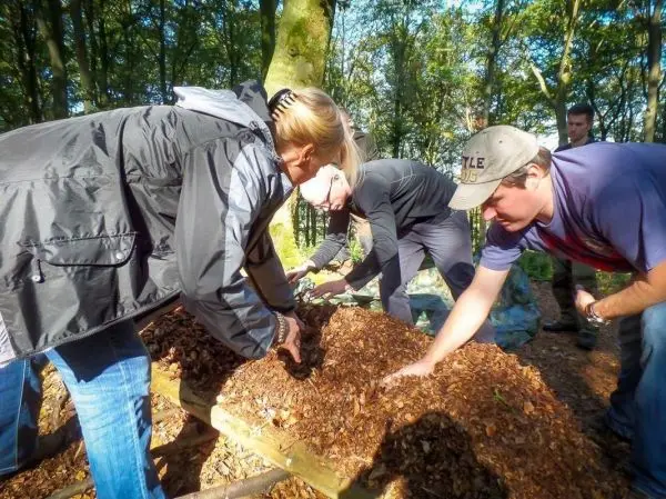 Gruppenteilnehmer bearbeiten eine Holzstruktur mit Laub im Wald
