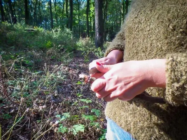 Messer schneidet Holzstück im Wald