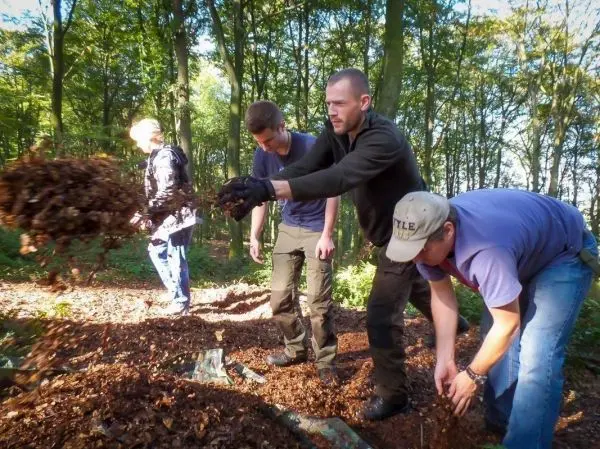 Person wirft Laub in den Wald, andere Personen arbeiten daneben