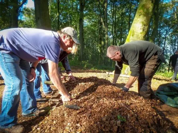 Personen arbeiten mit Schaufeln an einem Haufen aus Laub