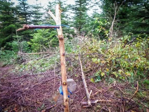 Schlagfalle (Figure-Four) aus Holz mit Auslöser und Gewicht auf dem Boden