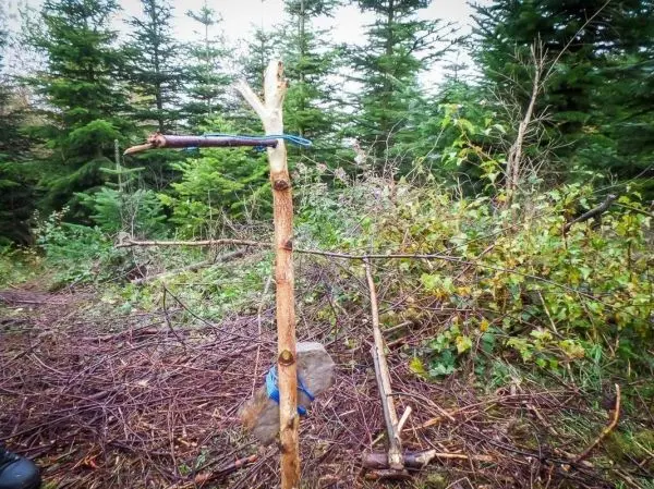 Schlagfalle (Figure-Four) mit Holzstück und Stein auf einer Konstruktion