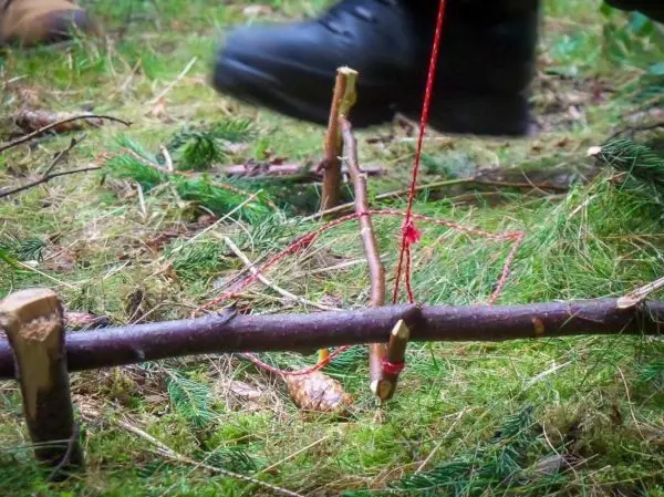 Schlingenfalle mit Holzstücken und rotem Faden im Unterholz aufgebaut
