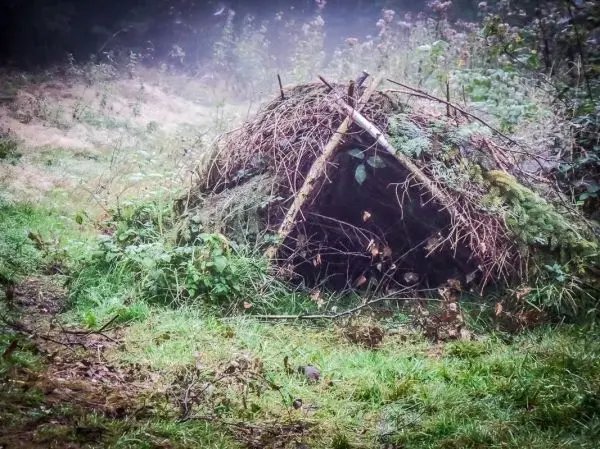 Tarp-Notunterkunft aus Ästen und Laub in einer bewaldeten Umgebung