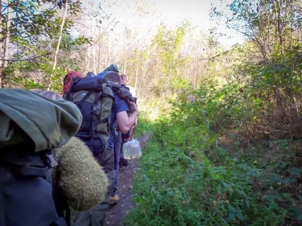 Wanderer mit Rucksäcken auf einem schmalen Pfad durch bewaldetes Gebiet