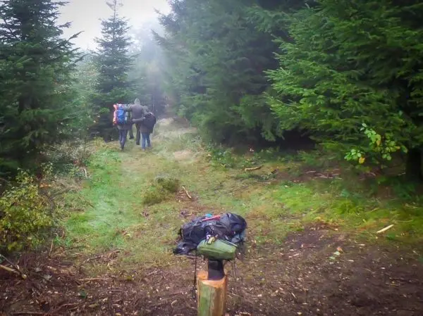 Wanderer mit Rucksäcken gehen einen schmalen Pfad durch den Wald