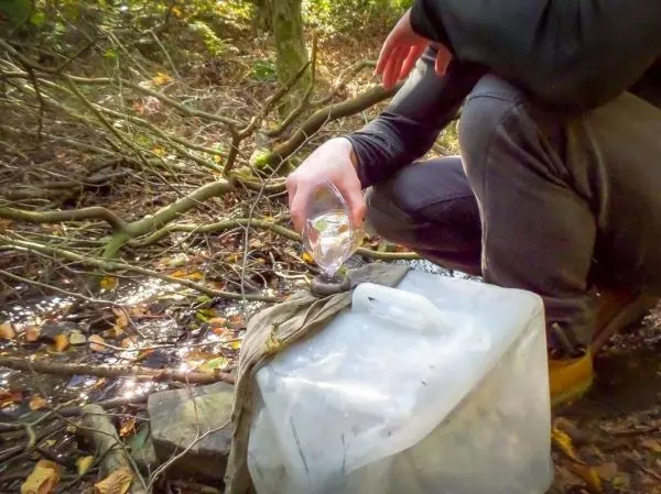 Wasser wird aus einem Behälter in ein Glas gegossen, während im Hintergrund Äste liegen