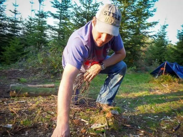 Zunder wird auf dem Boden gesammelt und vorbereitet