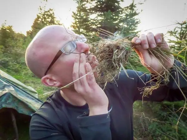 Zunder wird aus Gras und Wurzeln vorbereitet