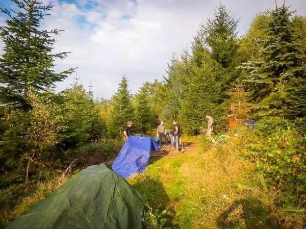 Gruppe von Personen baut Zelt im Wald auf