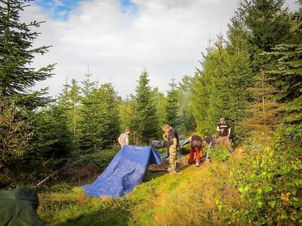 Gruppierung baut Tarp-Notunterkunft im Wald zwischen Nadelbäumen auf