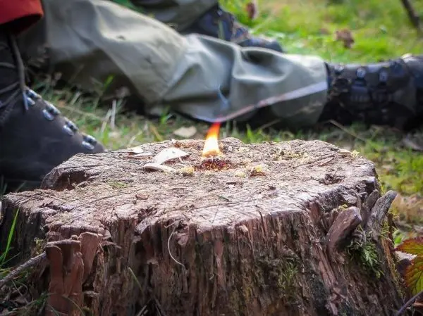 Kleine Flamme auf einem Baumstumpf, Zunder glimmt