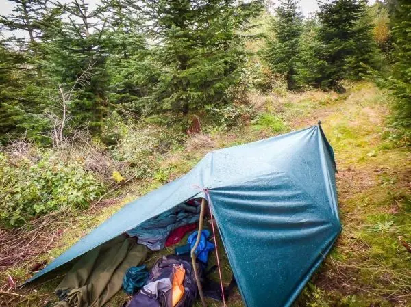 Tarp-Notunterkunft mit Ausrüstung in bewaldeter Umgebung