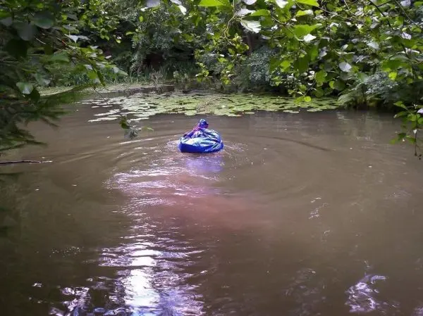 Ein blauer Sack schwimmt auf einem ruhigen Gewässer zwischen Pflanzen