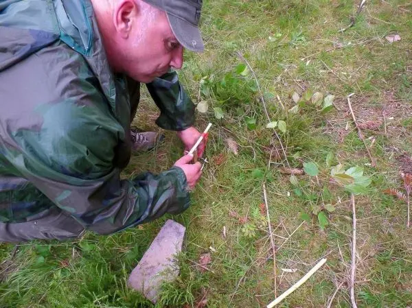 Messer schneidet einen Zweig auf dem Boden zwischen Gras und Pflanzen