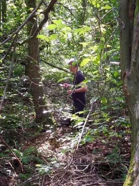 Person steht im dichten Wald und hält ein Gerät in der Hand
