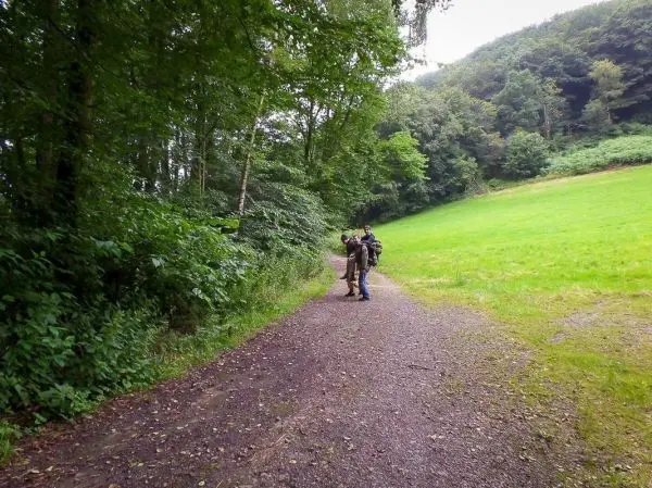 Personen stehen auf einem Weg zwischen Bäumen und Wiese