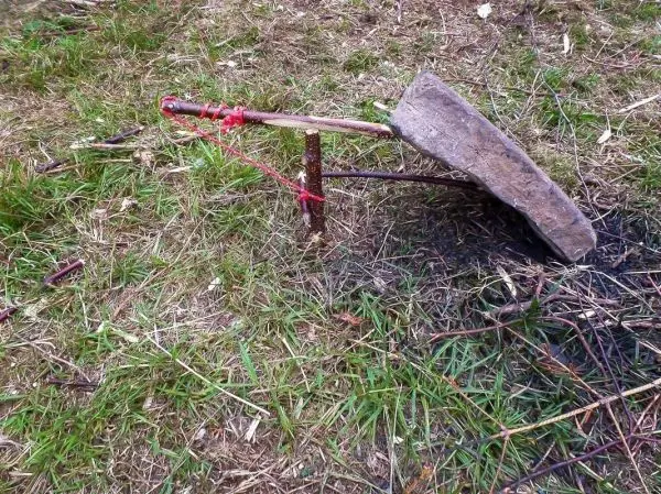 Schlagfalle (Figure-Four) mit Stein und Holzstücken auf dem Boden