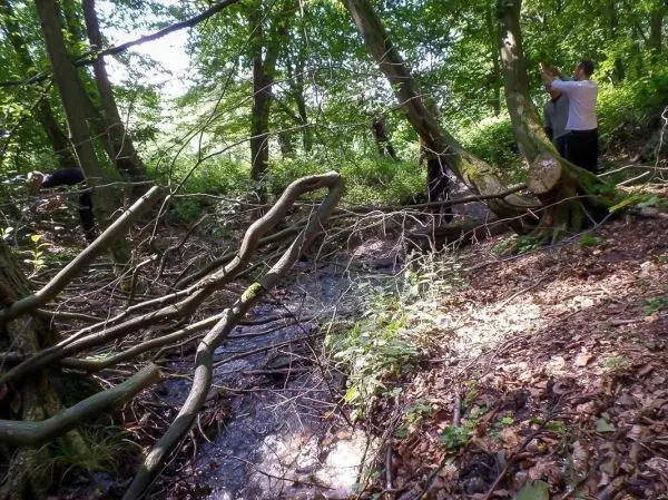 Zwei Personen arbeiten im Wald an einer selbstgebauten Seilquerung über einen kleinen Bach
