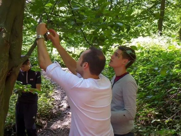 Zwei Personen schneiden Äste von einem Baum im Wald ab