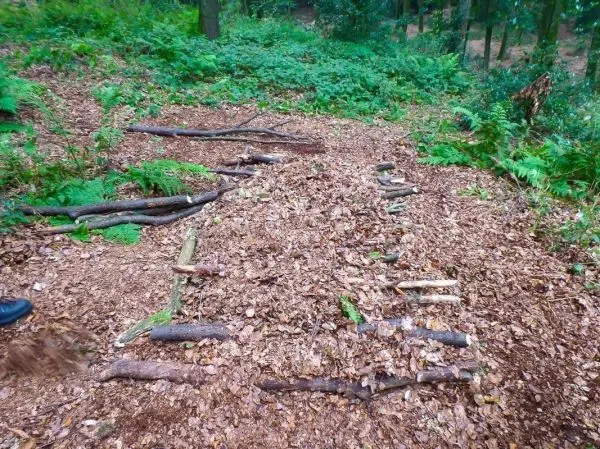 Selbstgebaute Konstruktion aus Ästen und Laub auf dem Waldboden