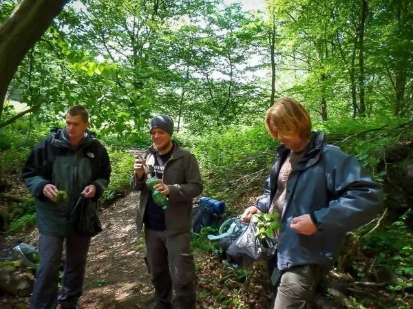 Drei Personen stehen auf einem Waldweg und halten Pflanzen sowie Getränke in der Hand