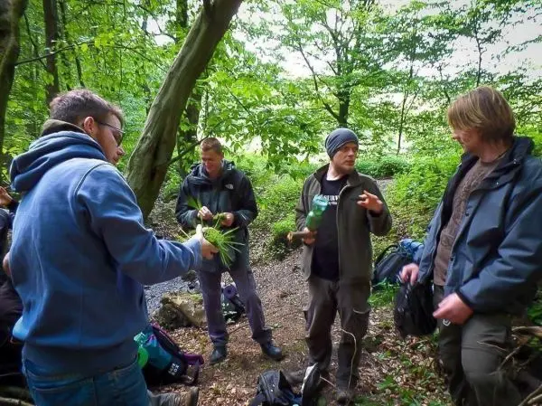 Gruppe diskutiert essbare Pflanzen im Wald, einige halten Gräser in der Hand