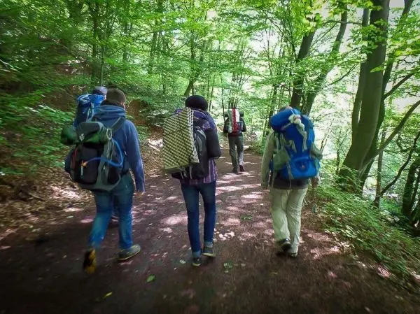 Gruppe von Personen wandert mit Rucksäcken auf einem Waldweg