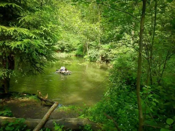 Mann sitzt auf einem schwimmenden Objekt in einem klaren Teich, umgeben von Bäumen