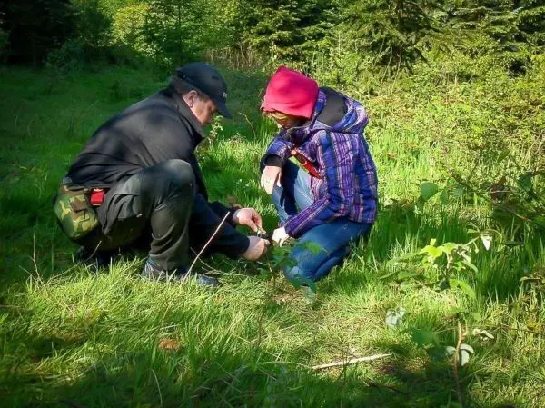 Mann verbindet den Knöchel einer Frau mit einem Verband im Gras