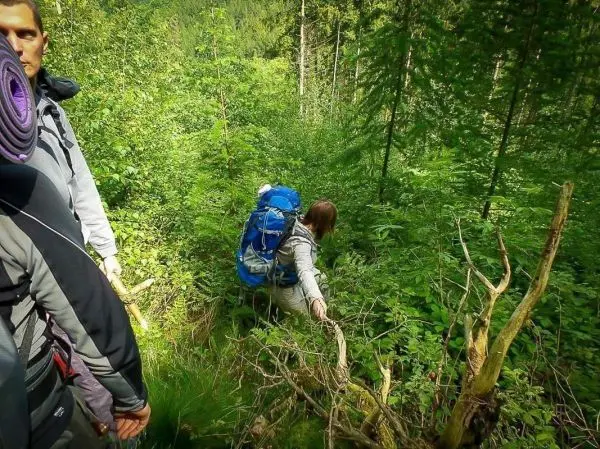 Person mit Rucksack bewegt sich durch dichten Wald beim Überlebenstraining