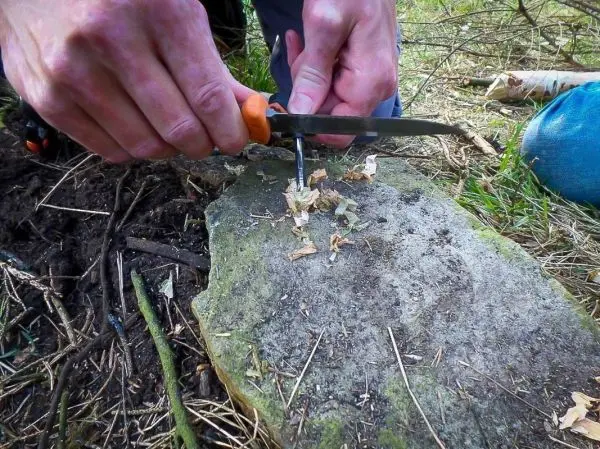 Person schneidet Holzspäne mit einem Messer auf einem Stein beim Überlebenstraining