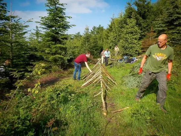 Selbstgebaute Konstruktion aus Ästen wird im Wald aufgestellt