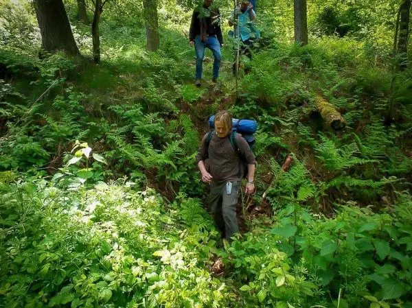 Wanderer mit Rucksack überquert unebenes Gelände zwischen Bäumen und Farnen