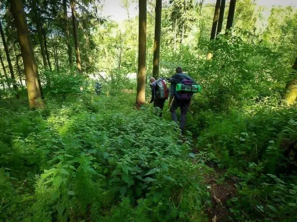 Wanderer mit Rucksäcken bewegen sich durch dichten Wald und hohes Unterholz