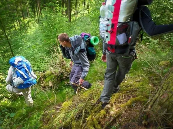 Wanderer mit Rucksäcken überqueren unebenes Gelände im Wald