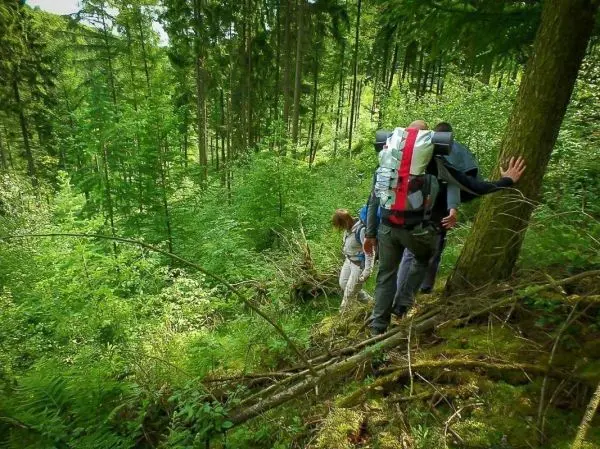 Wanderer steigen einen steilen Hang im Wald hinauf, umgeben von dichtem Grün