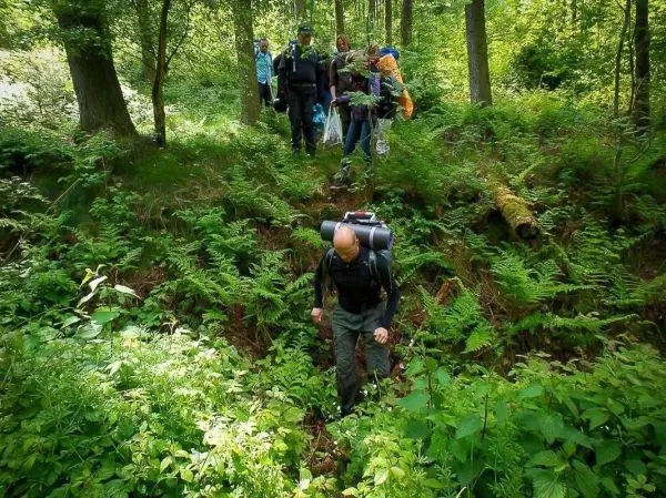 Wanderer überquert einen kleinen Graben im Wald, während andere stehen bleiben