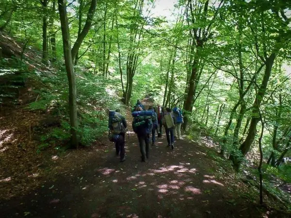 Wandernde Gruppe mit Rucksäcken auf einem Waldweg zwischen Bäumen