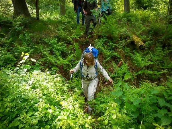 Wandernde Person mit Rucksack überquert unebenes Gelände mit Pflanzenbewuchs