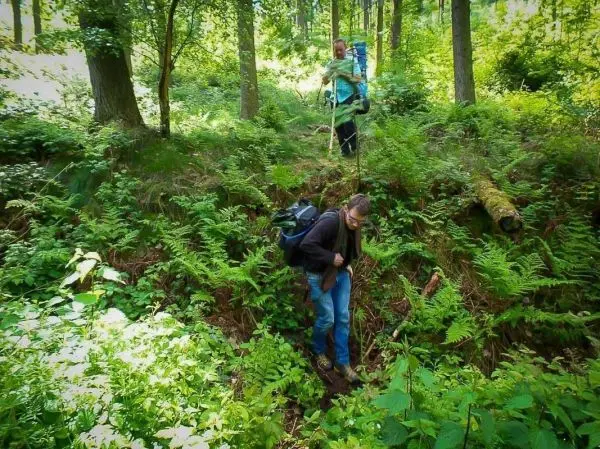 Zwei Personen überqueren einen Graben im Wald, eine Person nutzt einen Stock zur Unterstützung