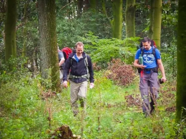 Drei Personen gehen mit Rucksäcken durch einen Wald