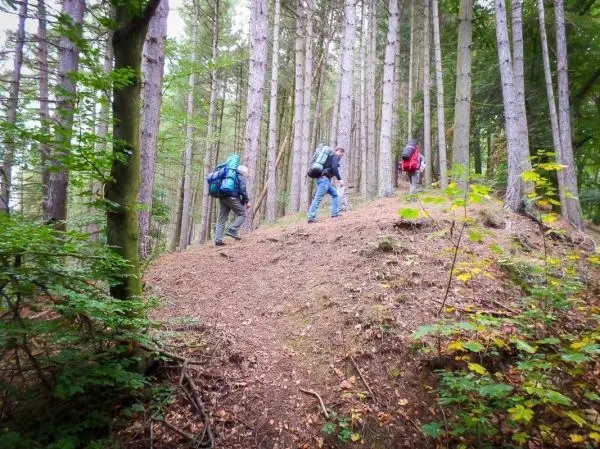Drei Personen mit Rucksäcken gehen einen Hügel im Wald hinauf